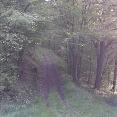 Alte Schule Kirmutscheid Feriehus *