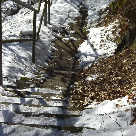 Prázdninový dům Alte Schule Kirmutscheid Musch