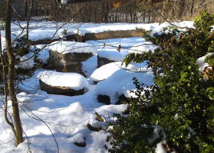 Σπίτι διακοπών Alte Schule Kirmutscheid Musch