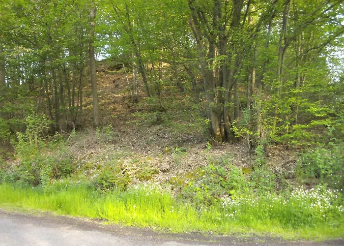 Σπίτι διακοπών Alte Schule Kirmutscheid